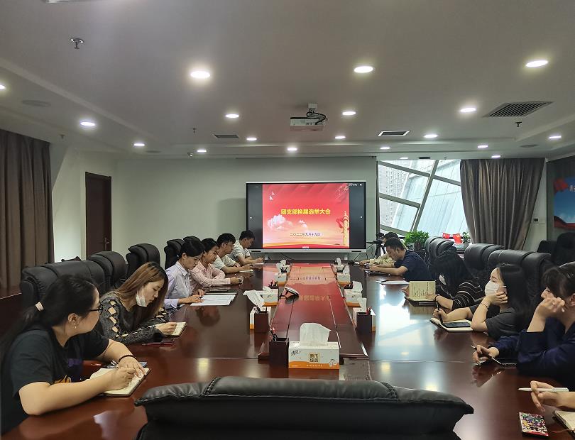 团青工作 | 新京澳门葡萄城
公司团支部召开换届选举大会