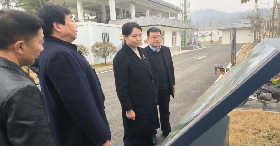 商南县县长刘华到新京澳门葡萄城
公司商南县污水处理厂调研