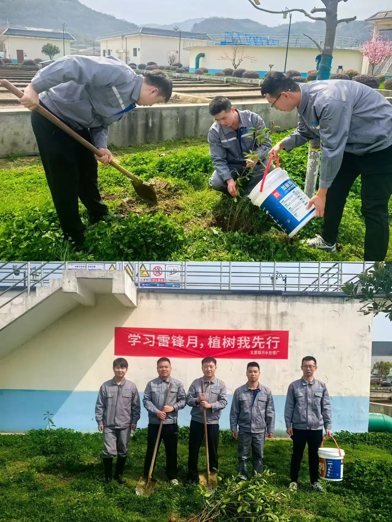 新京澳门葡萄城
公司权属各企业开展植树节活动